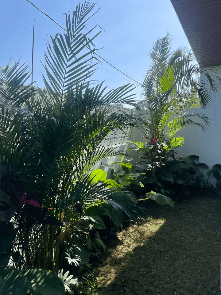 How Do Best Bali Villas With Concierge Service Elevate Your Island Itinerary and Cultural Immersion? - Bali Luxury Management