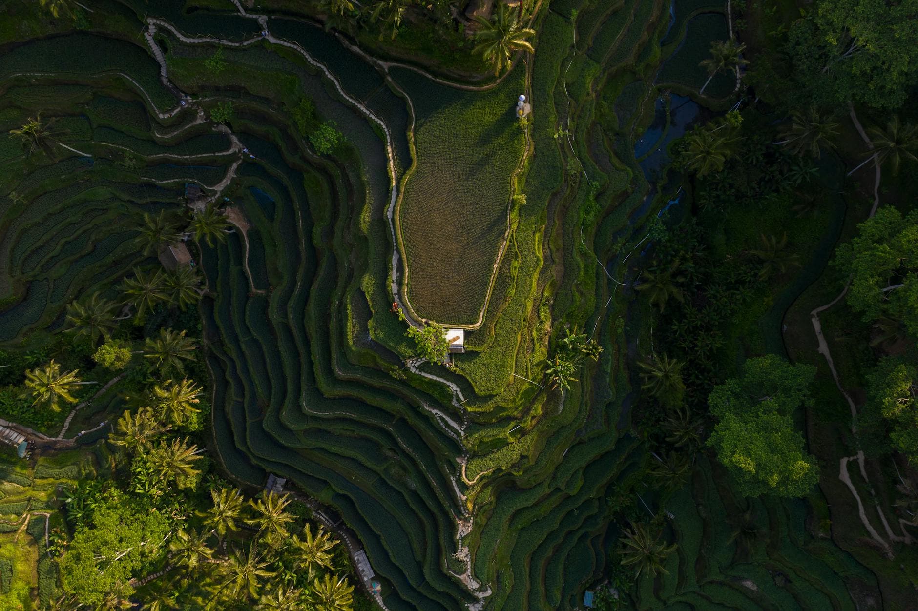 What Are the Best Bali Luxury Villas with Concierge Service Close to Beaches in South Bali? - Bali Luxury Management